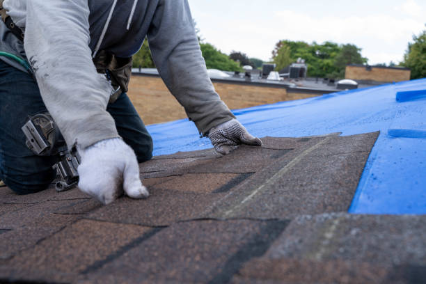 Best Rubber Roofing (EPDM, TPO)  in Lake St Louis, MO