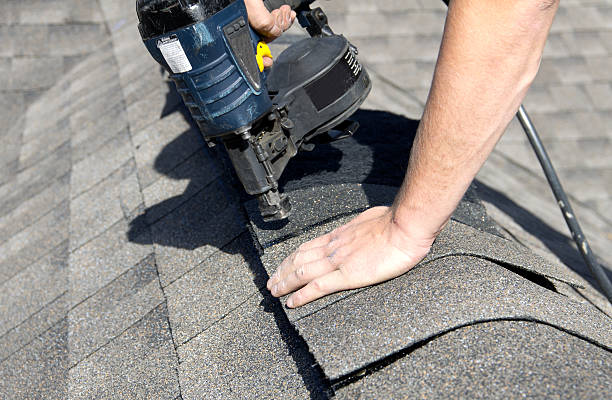 Best Roof Moss and Algae Removal  in Lake St Louis, MO